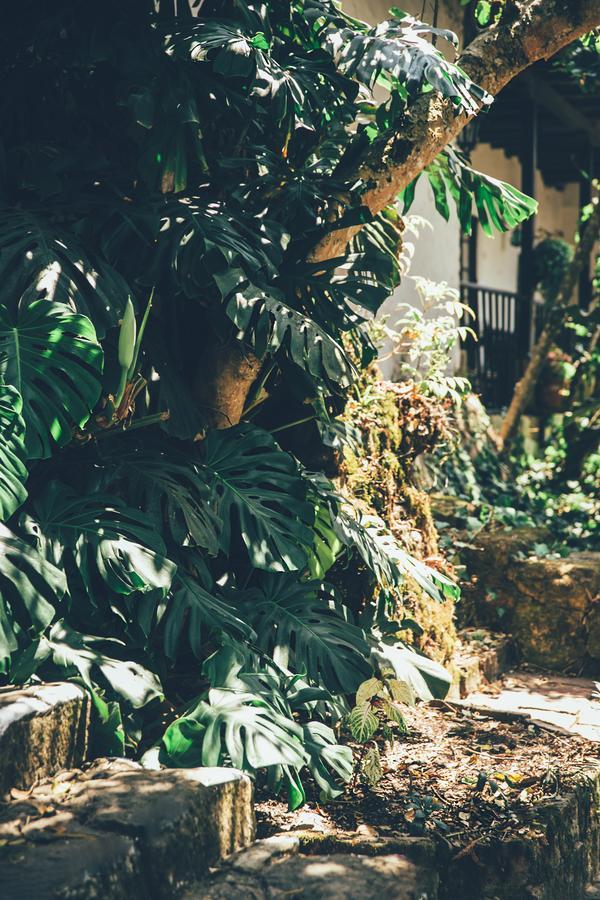 Hotel Hacienda Baza Tibana Exterior photo